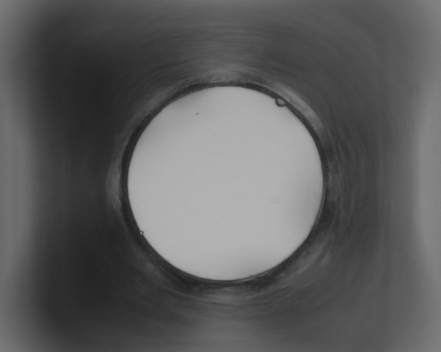 X0000100490485200807111126