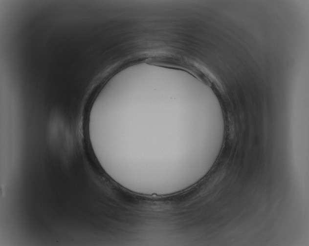 X0000100490486200807111126