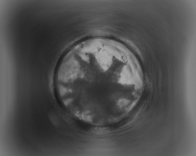 X0000100490487200807111126