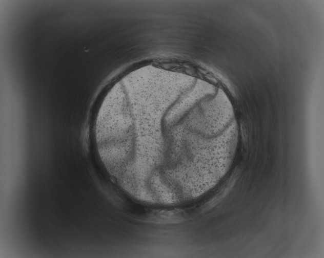 X0000100490488200807111126