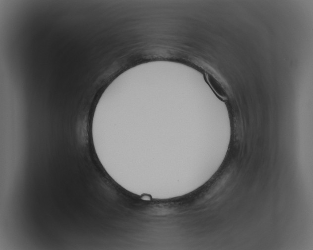 X0000100490489200807111126