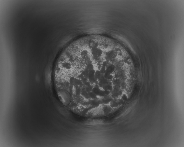 X0000100490491200807111126
