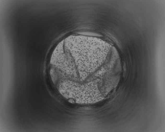 X0000100490492200807111126