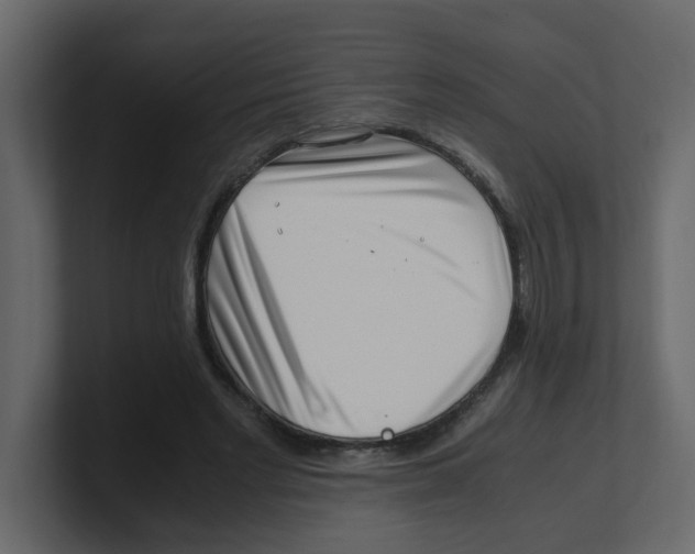 X0000100490493200807111126