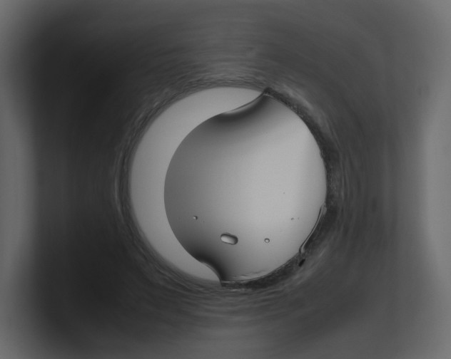 X0000100490495200807111126