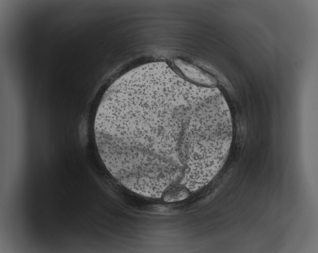 X0000100490496200807111126