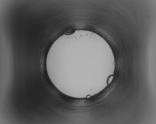 X0000100490497200807111126