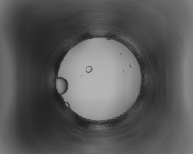 X0000100490498200807111126