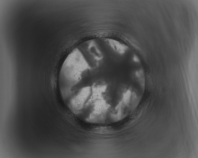 X0000100490499200807111126