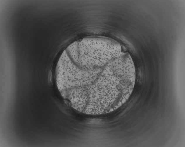 X0000100490500200807111126