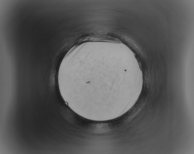 X0000100490501200807111125
