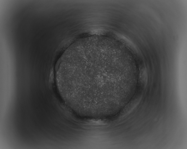 X0000100490502200807111125