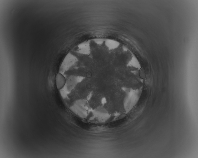 X0000100490503200807111125