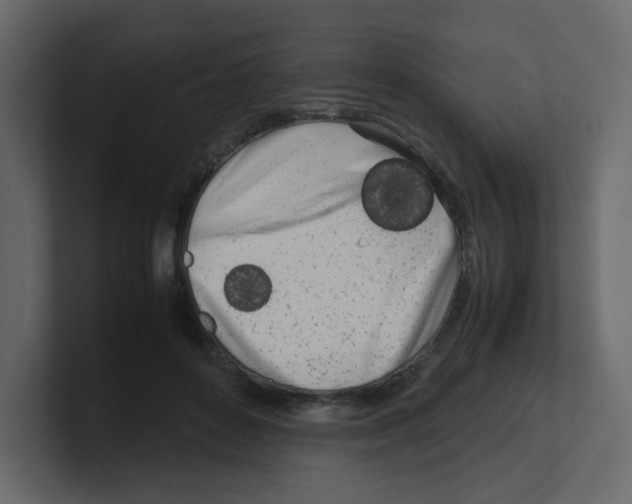 X0000100490504200807111125