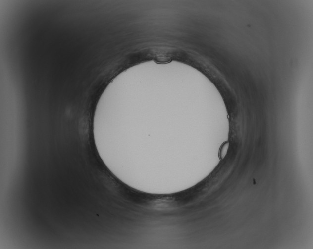 X0000100490505200807111125