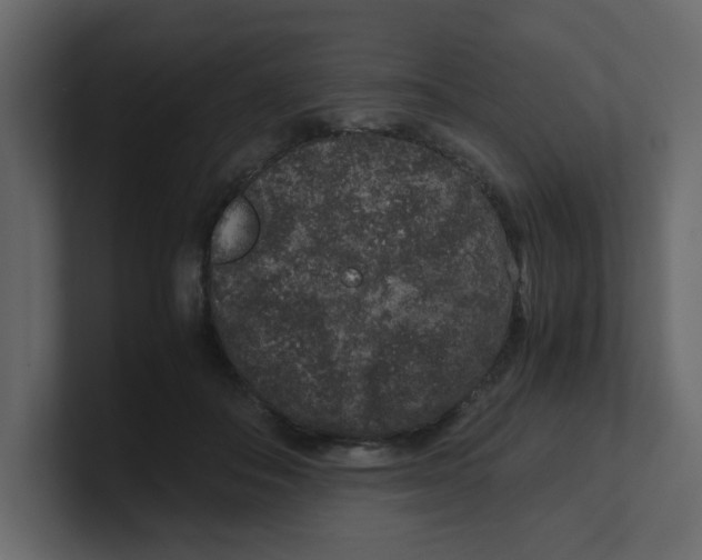 X0000100490506200807111125