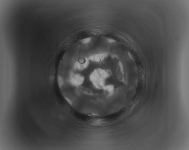 X0000100490507200807111125