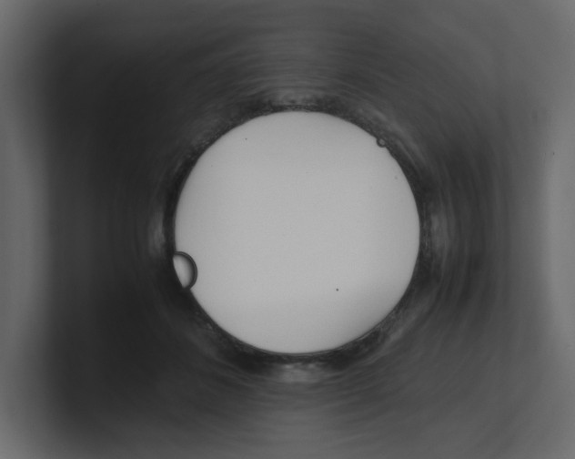 X0000100490508200807111125