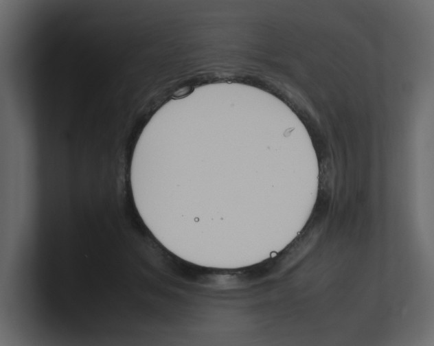X0000100490509200807111125