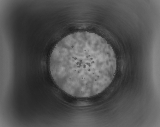 X0000100490510200807111125