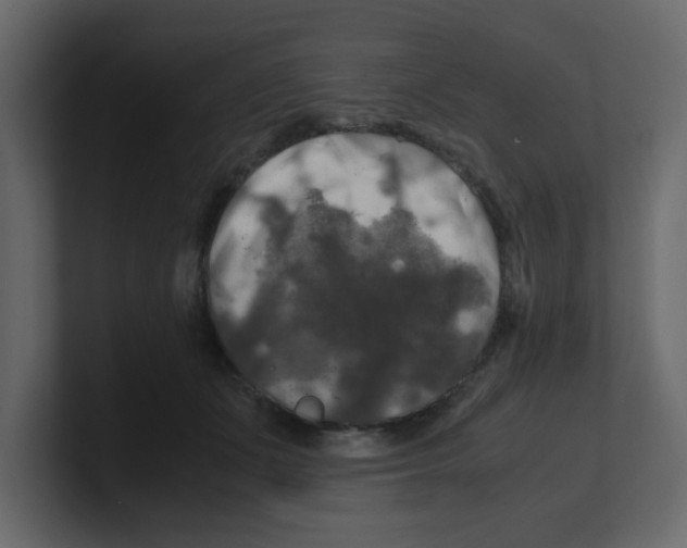 X0000100490511200807111125