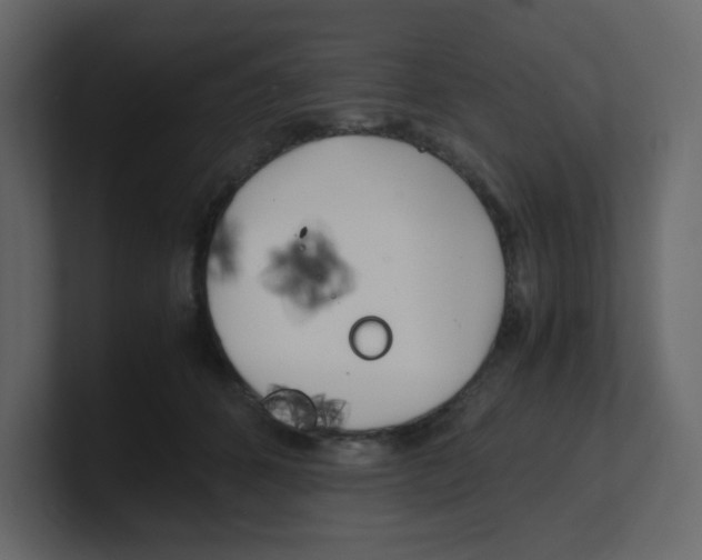 X0000100490512200807111125