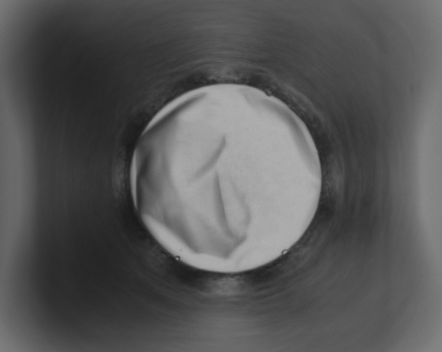 X0000100490513200807111125