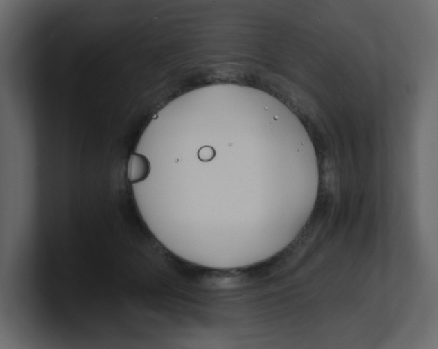 X0000100490514200807111125