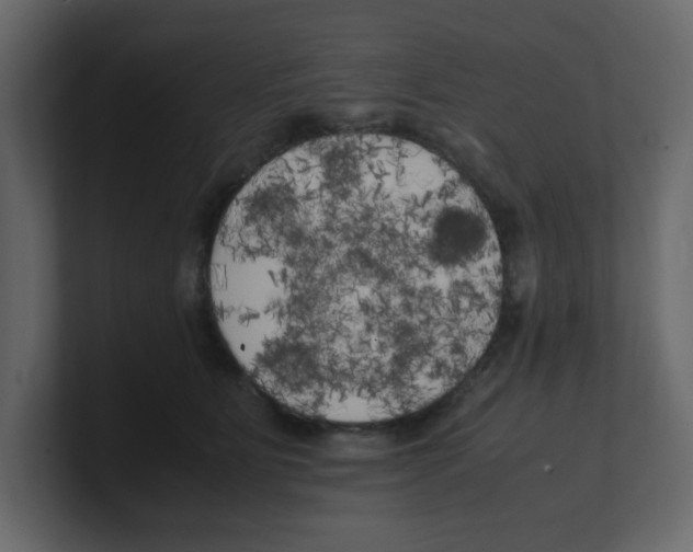 X0000100490515200807111125