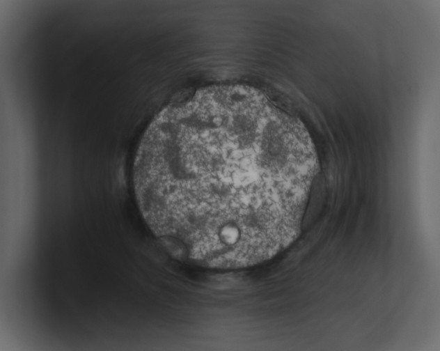 X0000100490516200807111125