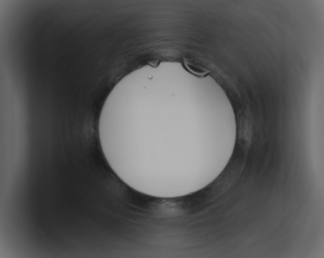 X0000100490518200807111125