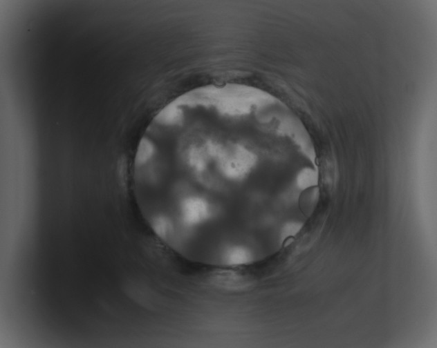 X0000100490519200807111125