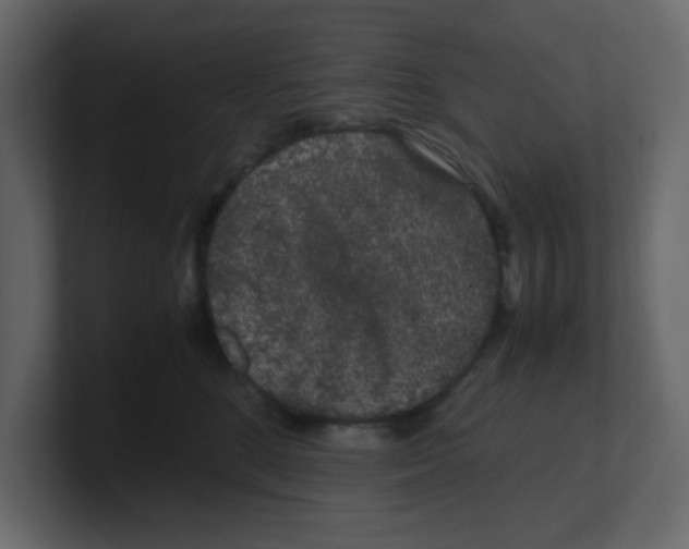 X0000100490520200807111125