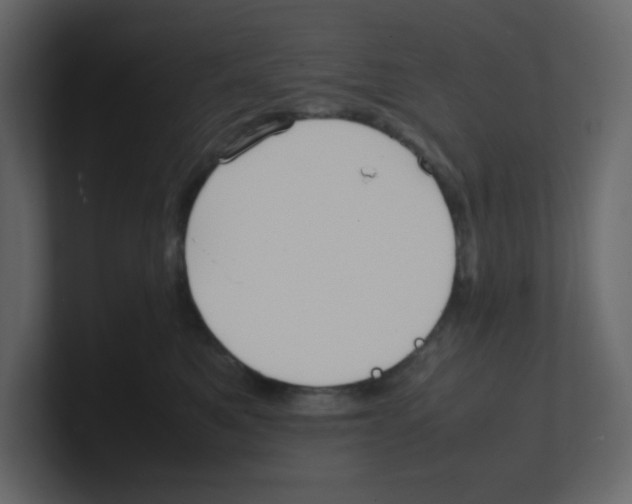 X0000100490521200807111125