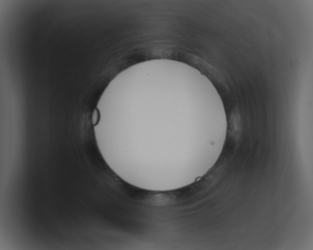 X0000100490522200807111125