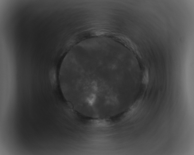 X0000100490524200807111125