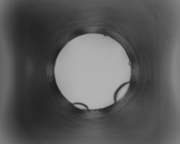 X0000100490525200807111125