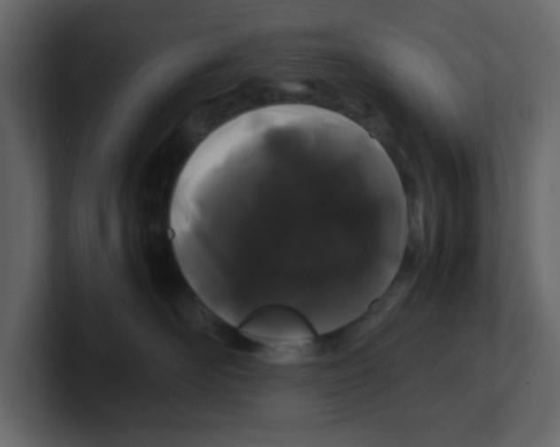 X0000100490526200807111125