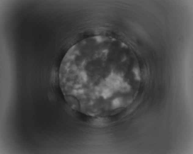 X0000100490527200807111125