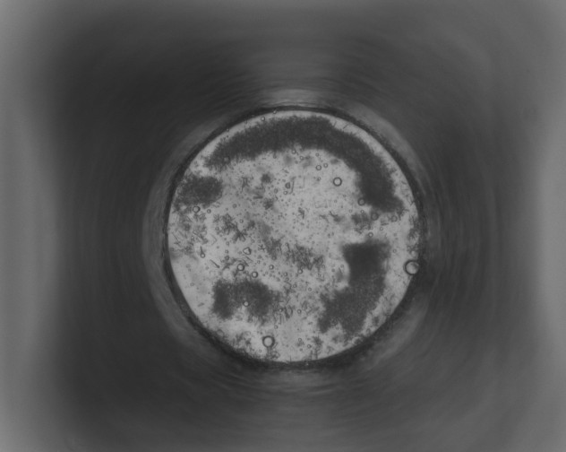 X0000100490529200807111124