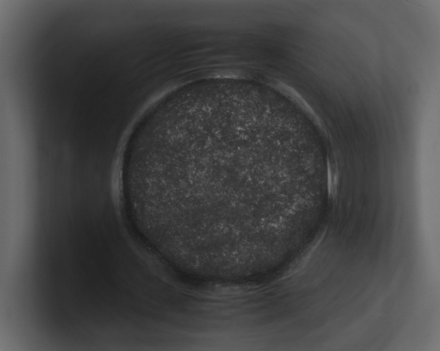 X0000100490531200807111125