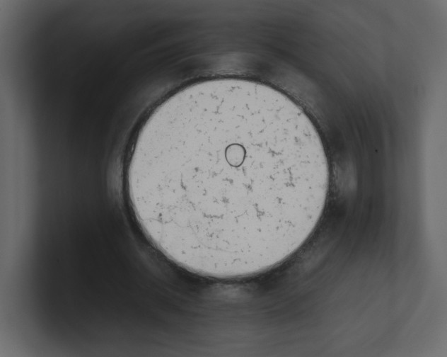 X0000100490534200807111125