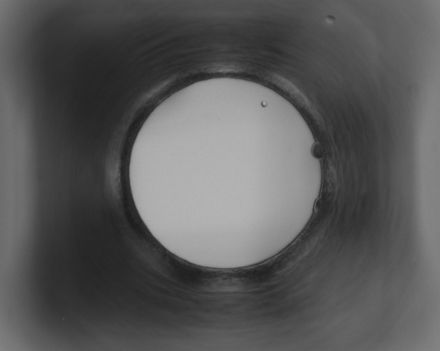 X0000100490535200807111125