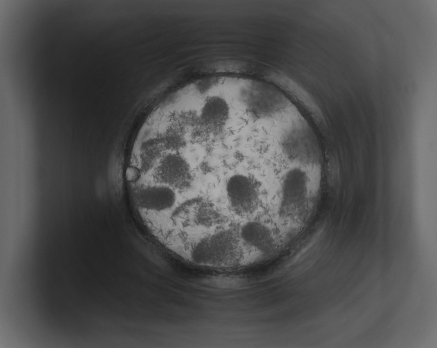X0000100490537200807111125