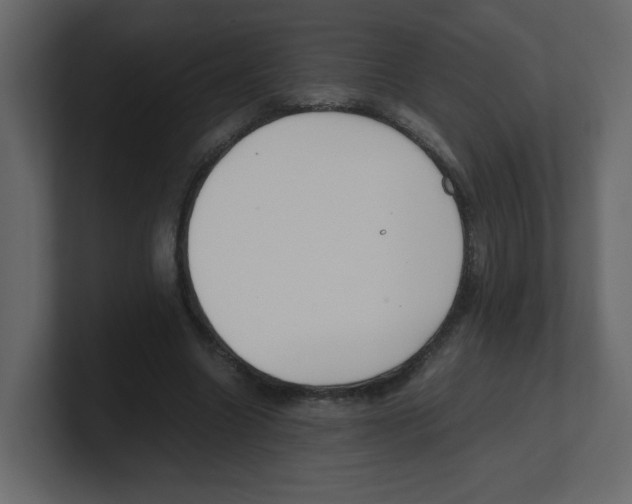 X0000100490538200807111125