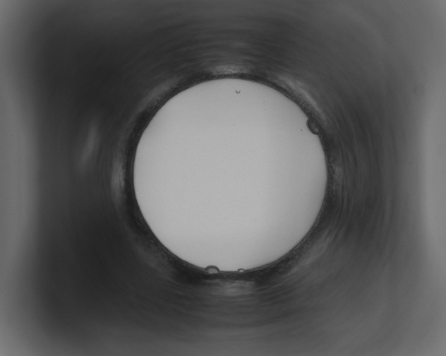 X0000100490539200807111125