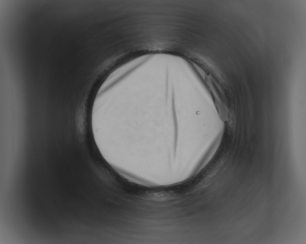 X0000100490540200807111125