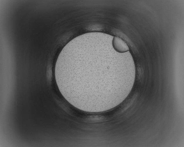 X0000100490541200807111125