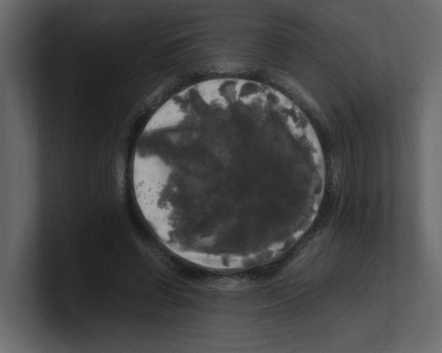 X0000100490542200807111125