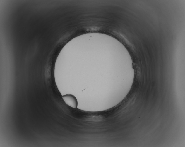 X0000100490543200807111125